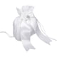 thumbnail image 4 of Bolso de NOVIA Zulema POUCH para HONOR de boda, 4 of 7