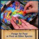 thumbnail image 5 of Juego de mesa Northstar Game Studio Oceans Strategy para mayores de 12 años, 5 of 8