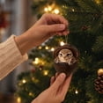thumbnail image 6 of Forest Animal Acorn Ornaments 2026, Sleeping Owl in Acorn Shell Ornament 2026 – 3D Resin Hanging Decor for Christmas Tree, Woodland Wildlife Gift, 6 of 7