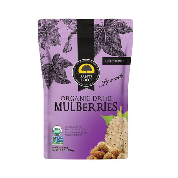 USDA Organic Sun Dried Wile White Mulberries 8.8 oz Healthy Fruit Snack (1 Pack)