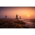 thumbnail image 2 of Seo, Tiger 24x17 White Modern Wood Framed Museum Art Print Titled - Foggy Morning, 2 of 4