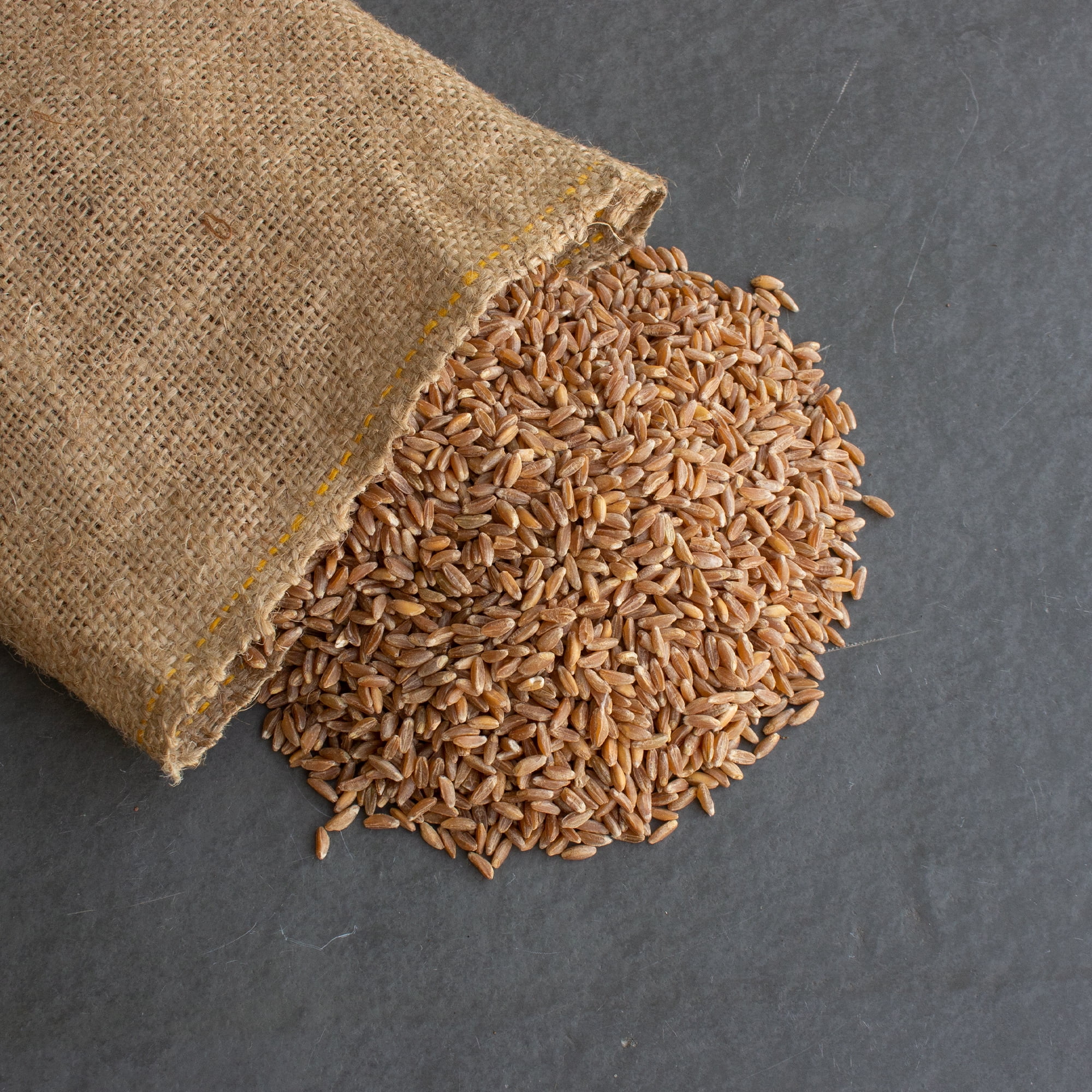 Organic Pearled Emmer Wheat AKA True Farro 4 Oz NonGMO Bulk