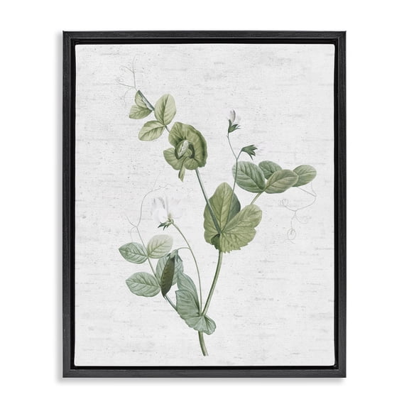Stupell Industries Farmhouse Soft Country Botanical Black Floating Frame Canvas Art, 17 x 21, by Lettered and Lined