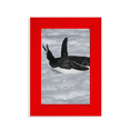 thumbnail image 1 of Water Black Antarctic Penguin Picture Picture Display Art Red Photo Frame, 1 of 4