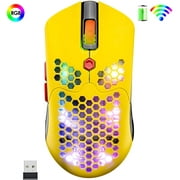Wireless Gaming Mouse,16 RGB Backlit Ultralight Wireless/Wired Mice with Programmable Driver,Rechargeable 800mA