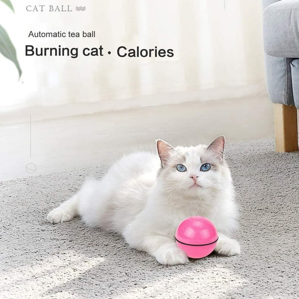 Universal - Jouet de chat robot pour chat d'intérieur Télécommande USB  rechargeable Lumière LED de couleur Jouet de chat électrique interactif  automatique
