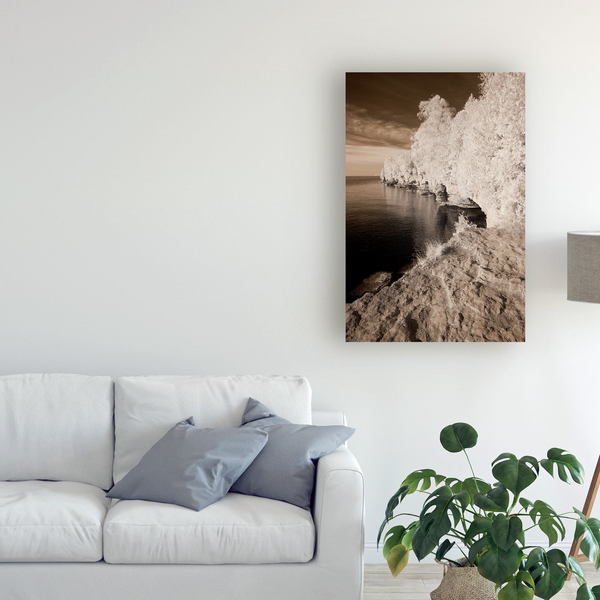 Trademark Fine Art 'Forest Coastline Sepia' Canvas Art by Monte Nagler