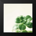 thumbnail image 2 of Bradley, Felicity 12x12 Black Modern Framed Museum Art Print Titled - Succulent Simplicity VIII Neutral, 2 of 5
