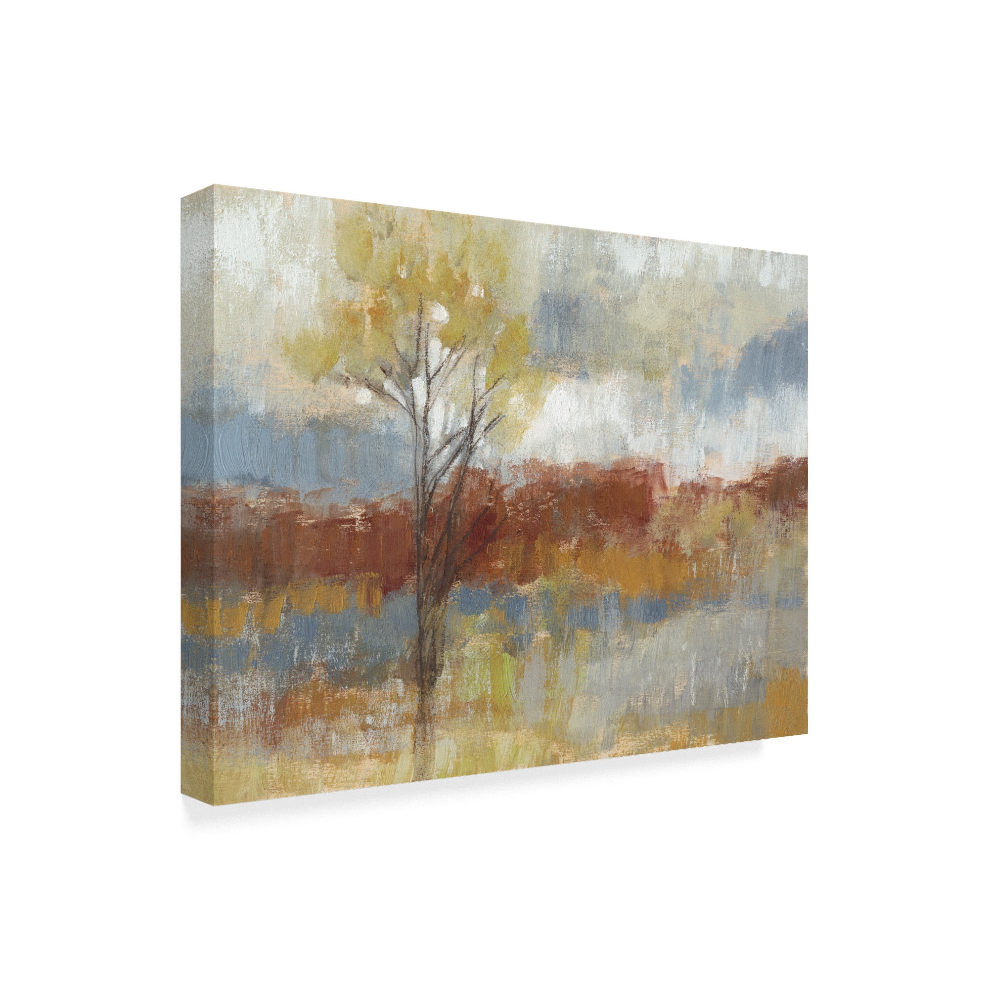 Trademark Fine Art 'Sienna Field I' Canvas Art by Jennifer Goldberger