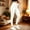 White, variant on BVnarty Women's High Rise Full Length Textured Skinny Leggings Triple Button Wide Waistband Slim Fit for Pilates Class Khaki XL