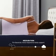 thumbnail image 5 of Sleep Innovations Hudson 10" Hybrid Mattress, Pressure Relief, King, 5 of 9