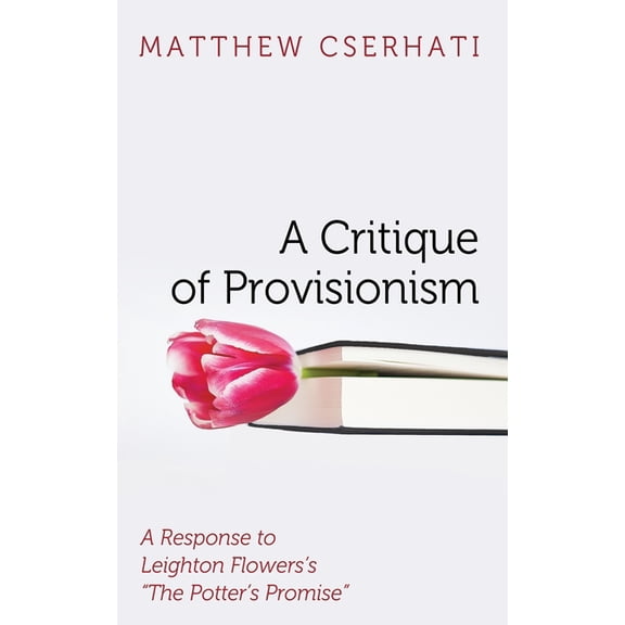 A Critique of Provisionism, (Paperback)