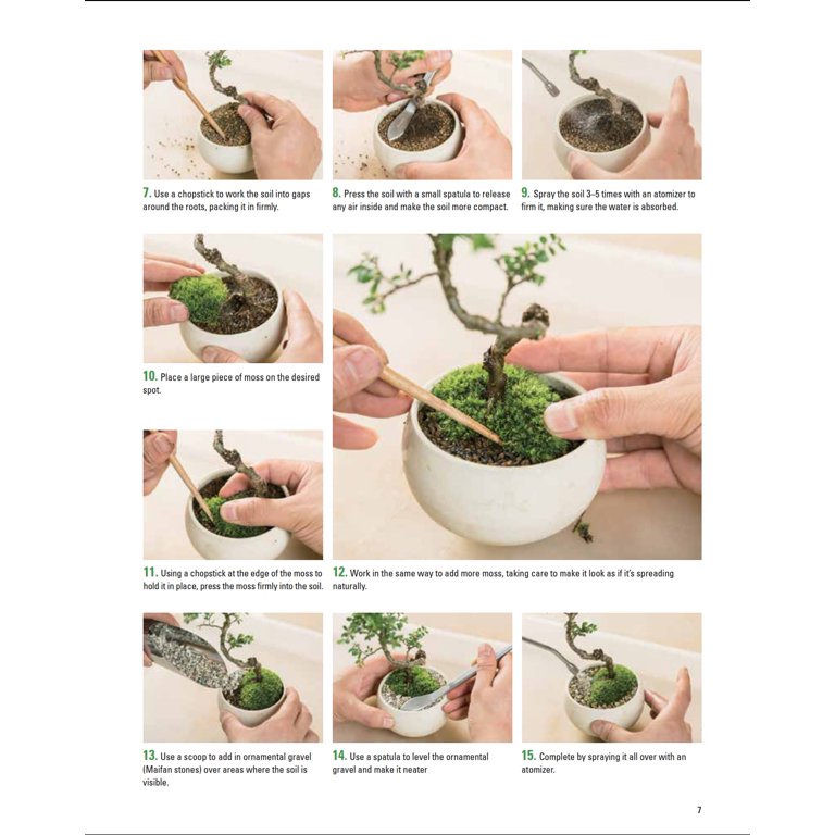 BONSAI - Grow Your Own Little Japanese Zen Garden : A Beginner's Guide On  How To Cultivate And Care For Your Bonsai Trees by Akira Kobayashi