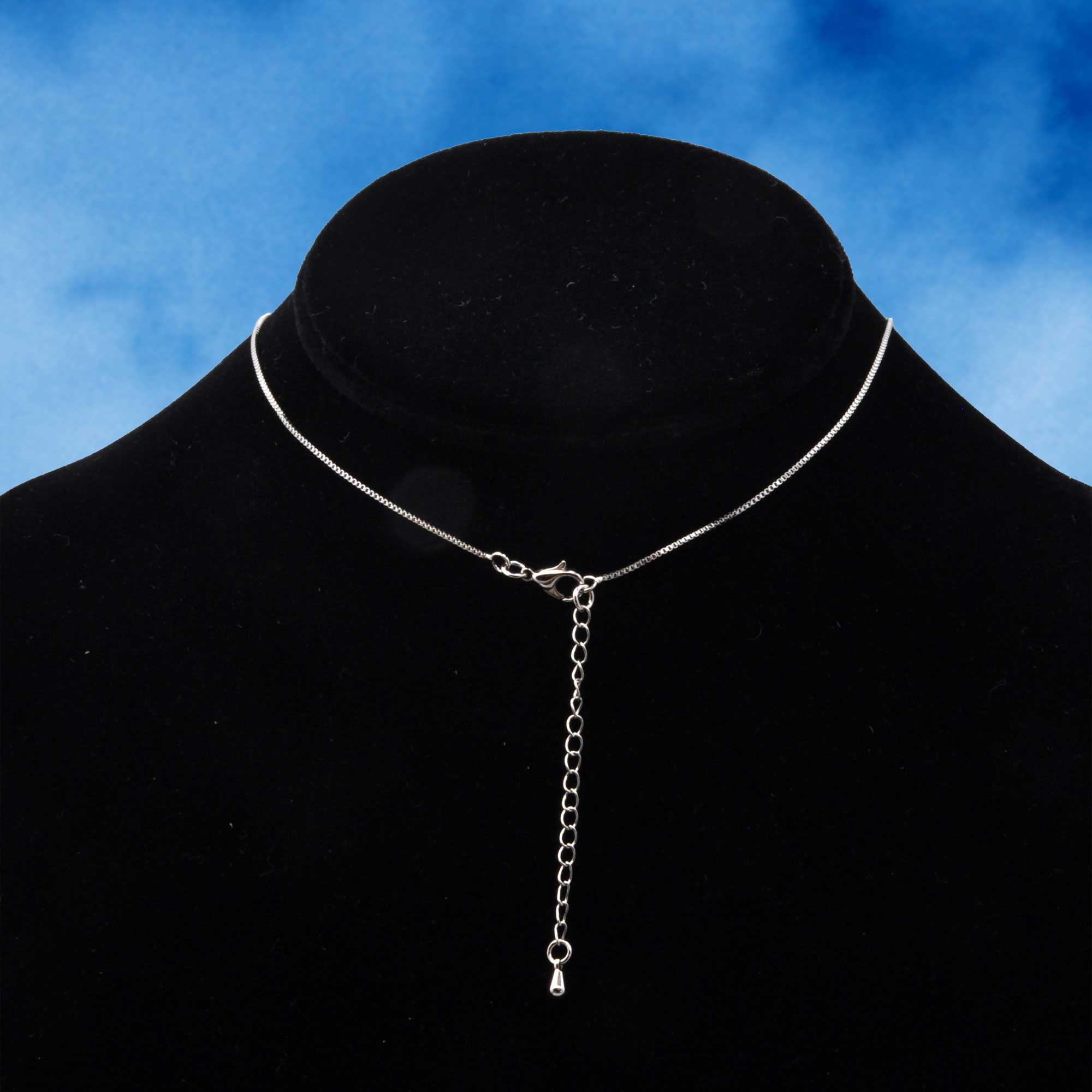 Delight Jewelry Silver Plated Equestrian Horse - Engraved Cor Cordium Heart Locket Necklace, 17.5"+2" Extender