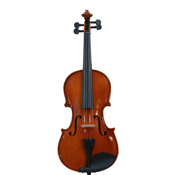 Violín zurdo cuatro cuartos Vitale GK002Z4/4
