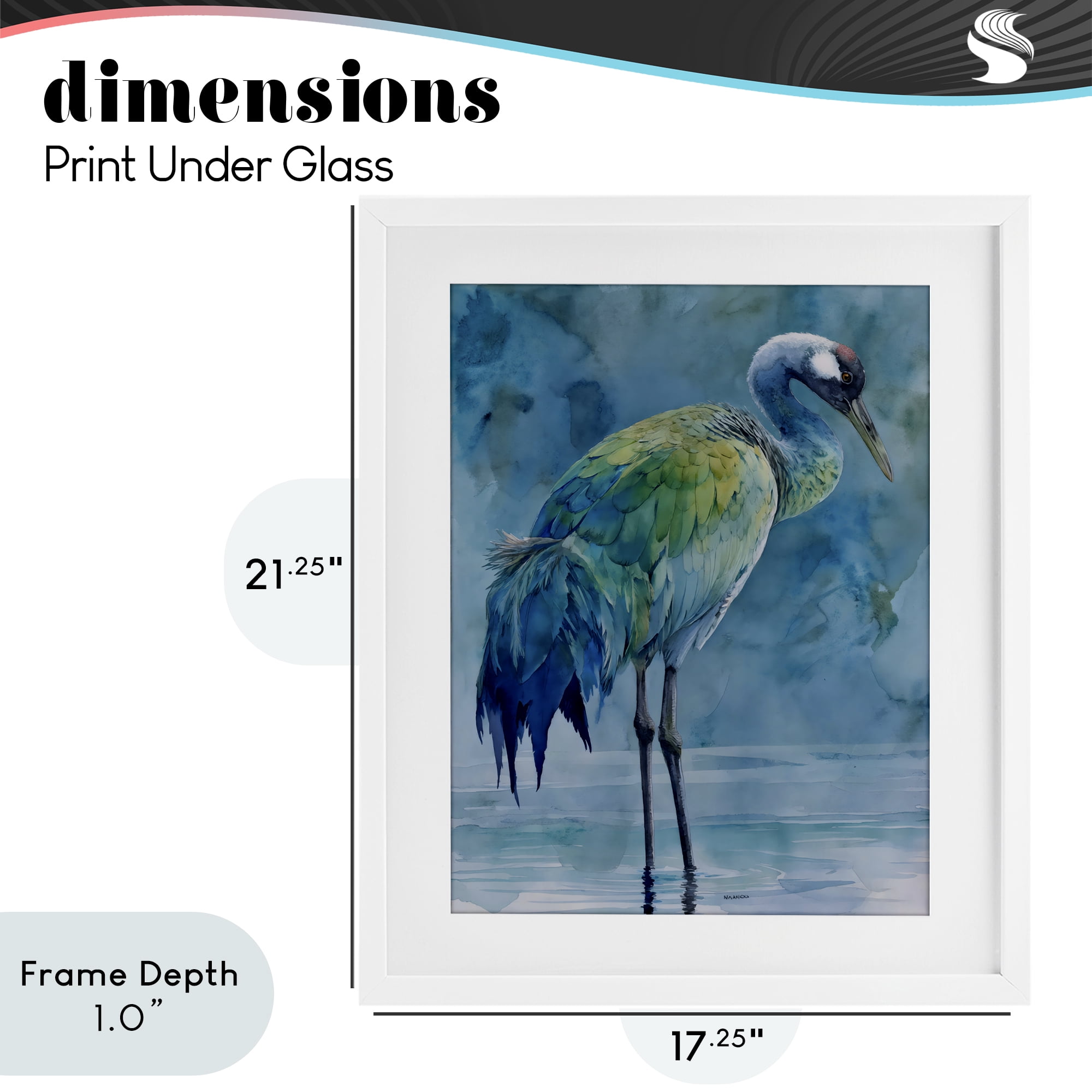 Stupell Industries Turquoise Feathered Coastal Bird White Framed Print Under Glass, design by Franklyn Gregory