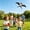 Black, variant on Dynamic Wing Kite with Rod and Line - Outdoor Beach Kite for Kids and Adults - Flying Bird Butterfly Eagle Kite with Fishing Line Reel - Family Outdoor Activity Toy for Park Garden Beach