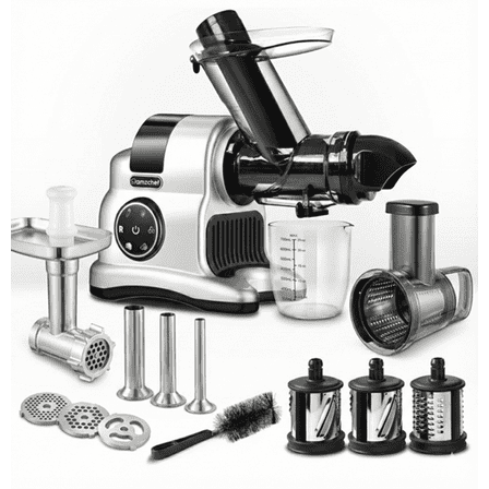 Amzchef 12 fl oz 2-Speed Masticating Juicer, Gray