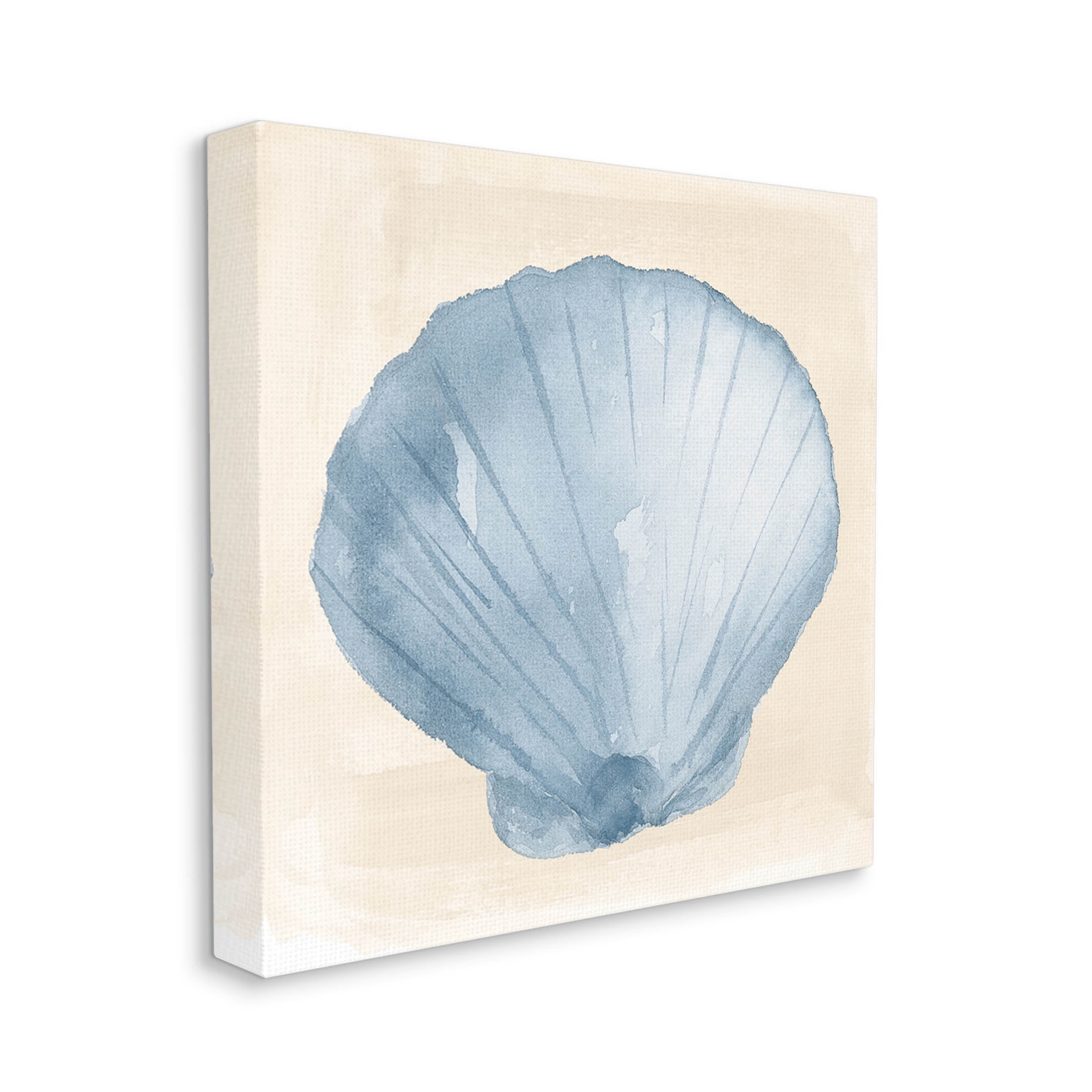 Sea Life Clamshell Composition Animals & Insects Graphic Art Gallery Wrapped Canvas Print Wall Art