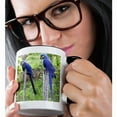 thumbnail image 2 of 3drose, Brazil, Pantanal, Endangered Hyacinth Macaw, Birds - Sa04 Kwi0096 - Kymri Wilt, 11oz Two-tone Black Mug, 2 of 6