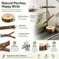 thumbnail image 4 of Parrots Rest Stand Claw Grinding Stick, Natural Wood Tree Branch for Bird Cage, Perch for Small Birds Daily Activity,2x straight pole, 3x branch, 4 of 9