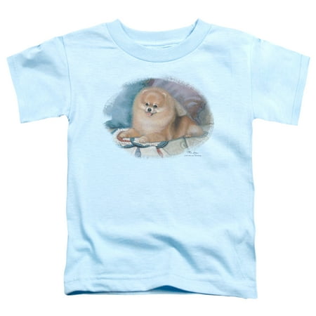 

Wildlife - Pomeranian Portrait - Toddler Short Sleeve Shirt - 3T