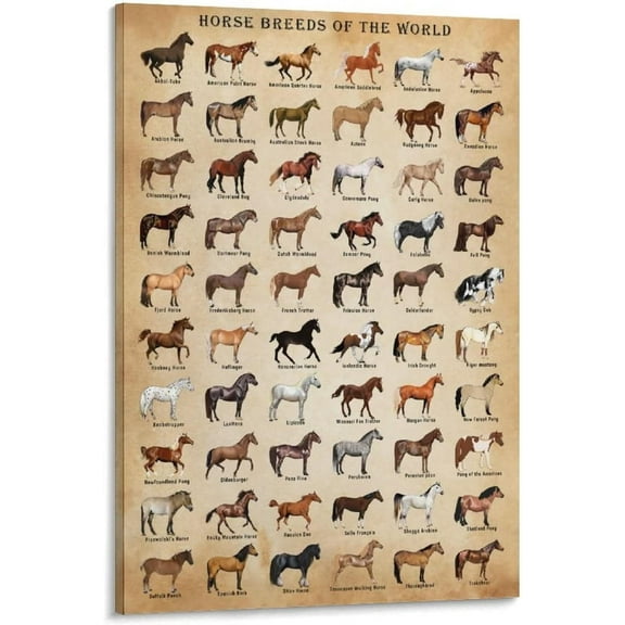 Horse Knowledge Horse Breeds of The World Poster Framed 12x16inch