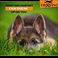 thumbnail image 3 of Vitalize® Trixsyn® Canine, 3 of 4