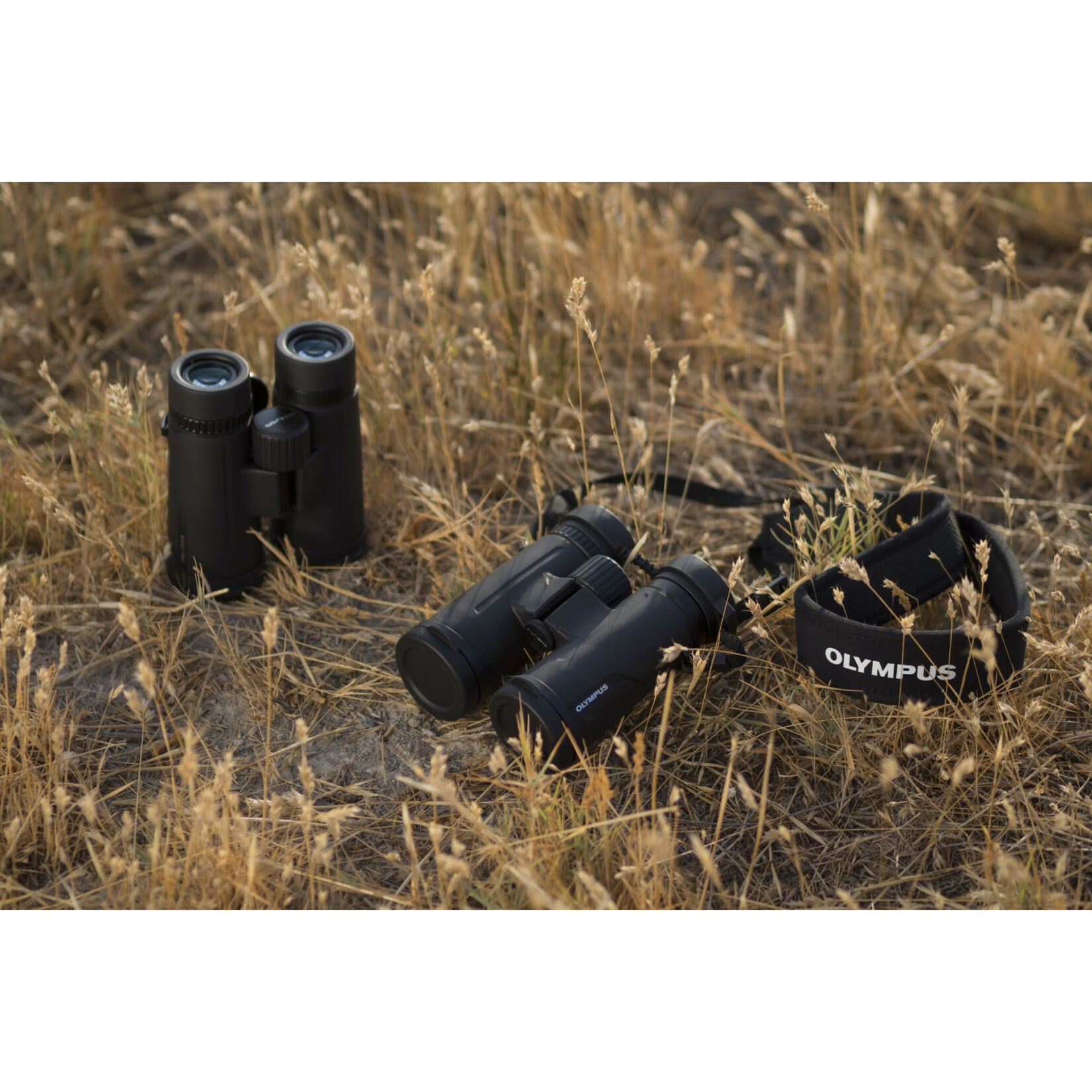 Olympus 10x42 pro binoculars 2025
