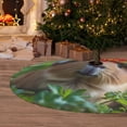 thumbnail image 5 of KLL 48" Christmas Tree Skirt Flower Crown Guinea Pig Xmas Tree Skirts Mat for New Year Xmas Holiday Party Indoor Outdoor Home Decoration, 5 of 5