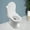 White, variant on Bidet Toilet Seat with Bidet Shower/Toilet V/O/D Shape for Intimate Care Toilet Seat (D-Shape)