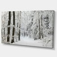 thumbnail image 3 of Designart Dense Winter Forest and Lane Canvas Wall Art, 3 of 4