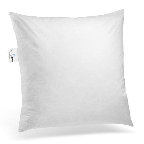 throw pillow inserts walmart