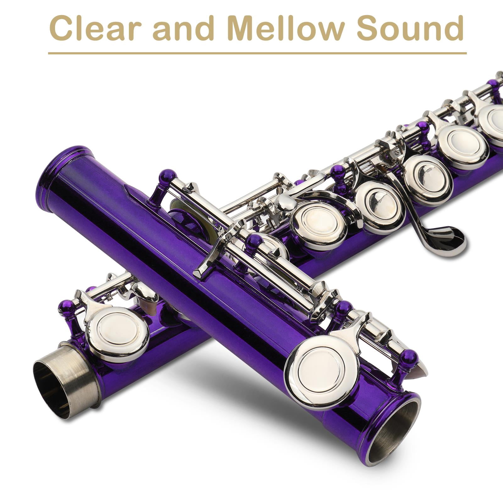 UBesGoo Cupronickel C 16 Closed Holes Concert Band Flute for Student Purple