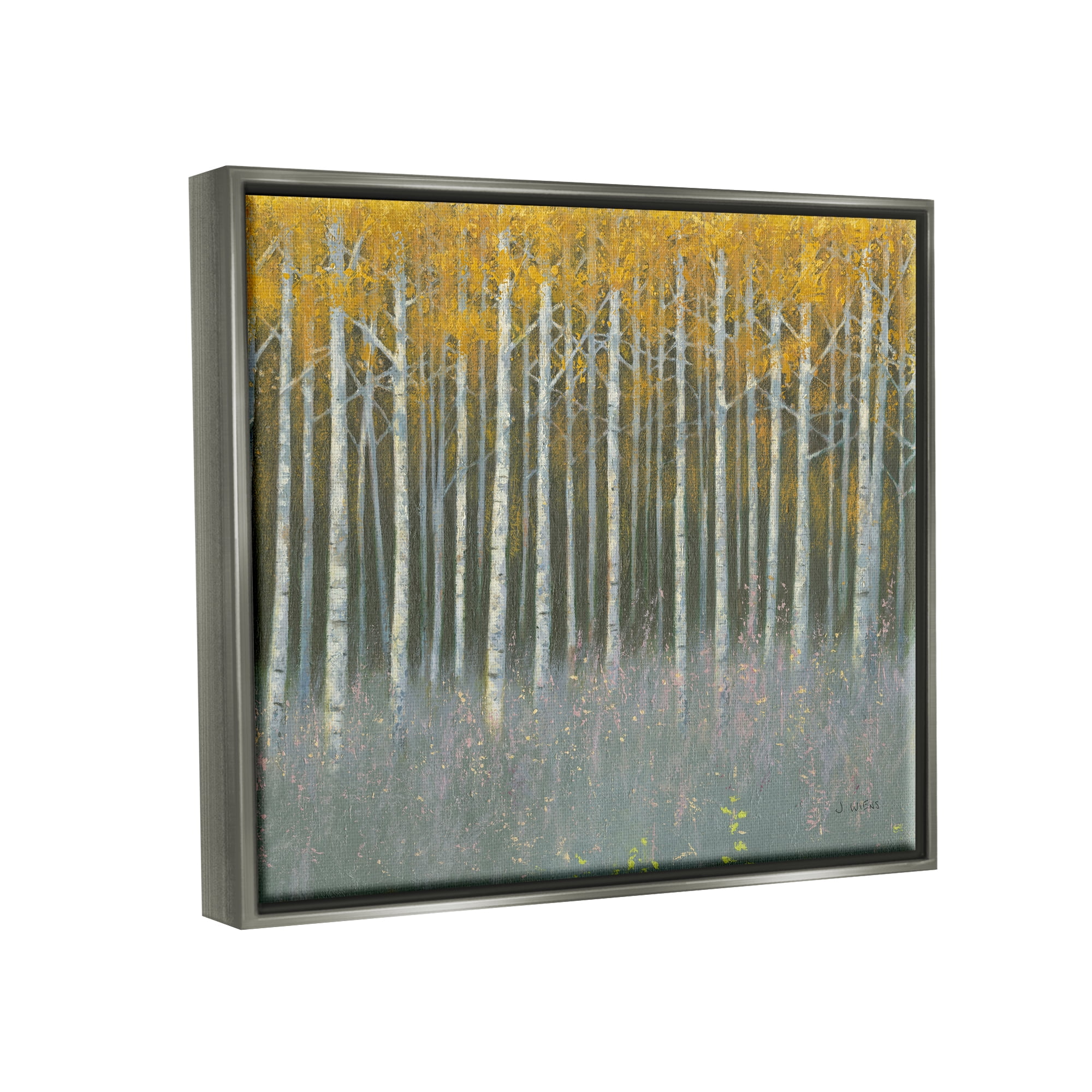 Stupell Industries Birch Tree Woodland Grove Outdoor Nature Landscape Luster Gray Framed Floating Canvas Wall Art, 16x20, by James Wiens