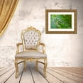 thumbnail image 3 of Horton, Janet 24x17 Gold Ornate Wood Framed with Double Matting Museum Art Print Titled - Issaquah-Washington State-USA Lady fern plant in early spring, 3 of 4