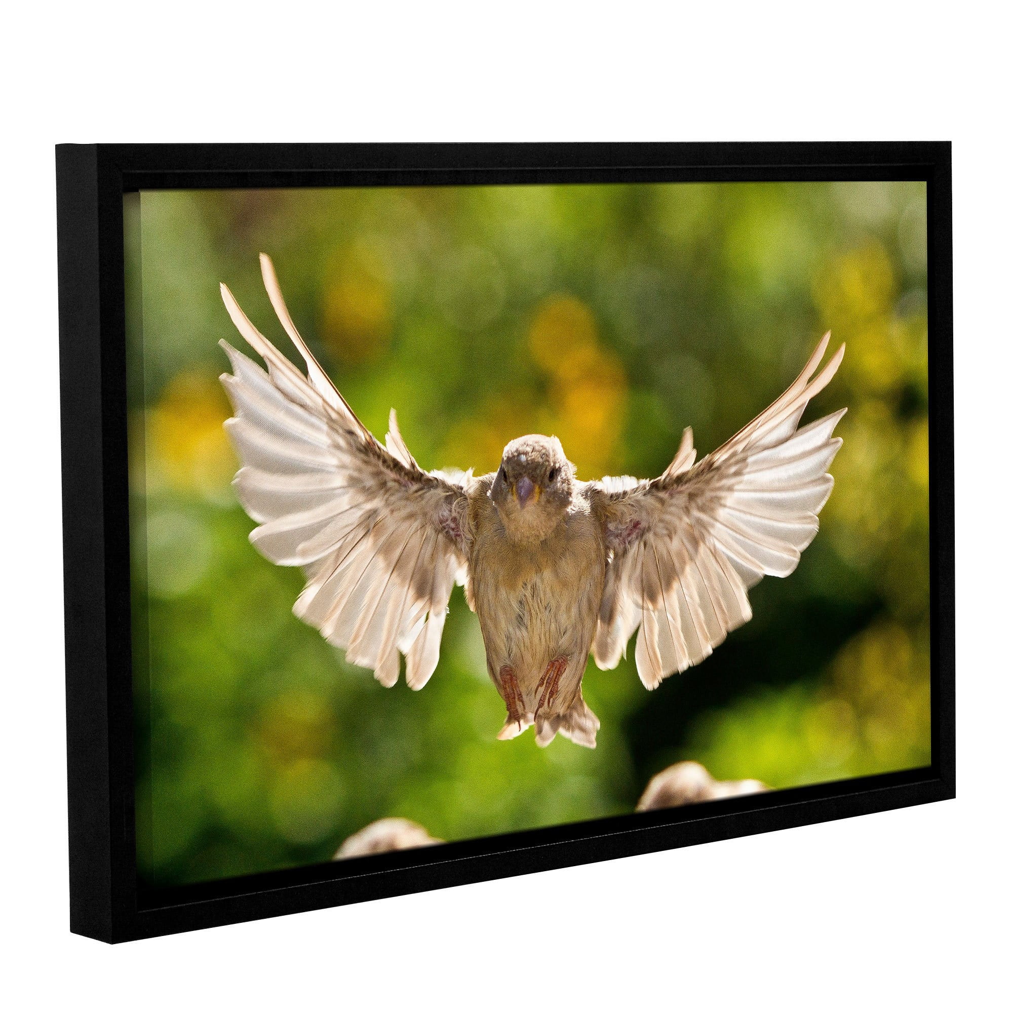 ArtWall Lindsey Janich "Flight" Gallery-Wrapped Floater-Framed Canvas