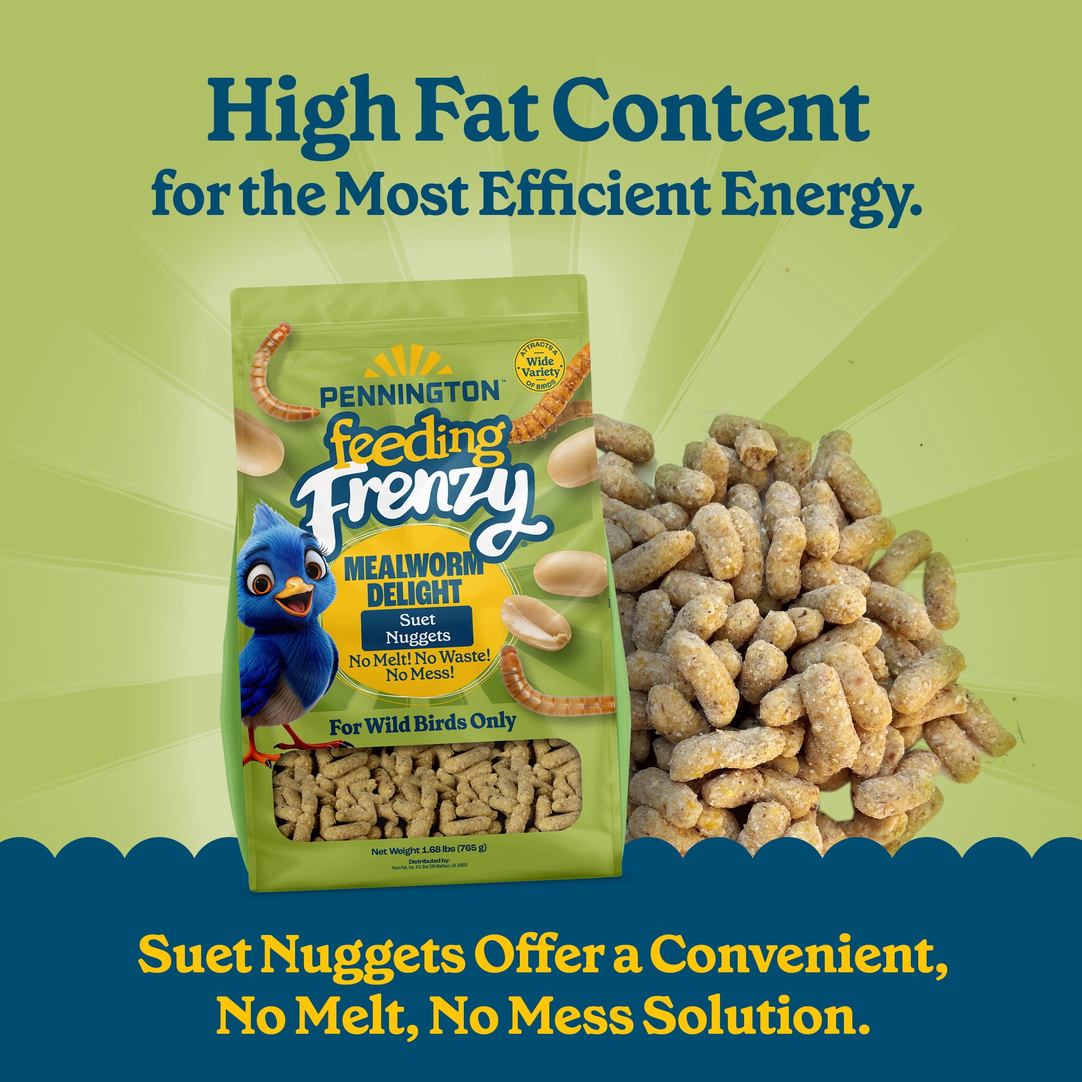 Pennington Feeding Frenzy Mealworm Suet Nuggets, 27 oz, Wild Bird Food, Fresh, 1 Pack