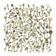 thumbnail image 4 of 125x Encantos de Llave de Esqueleto de Estilo Vintage Mixto Colgante de Bronce Pequeño para Pulsera, 4 of 9