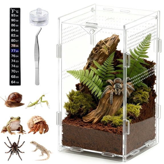 Acrylic Enclosure for Jumping Spider & Tarantula - Clear Terrarium Habitat for Reptiles, Praying Mantis, Frogs