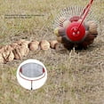thumbnail image 3 of Outil de Collecte de Noix en Acier Inoxydable, Ramasseur de Noix Rouleau Supérieur Pliable Ramasseur de Glands avec Long Manche Adapté pour Collecter Fruits Châtaigne Pacanes Buckeyes, 3 of 7