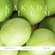 thumbnail image 5 of Sérum facial KORA Organics Kakadu Plum Vitamina C, 10 ml, 5 of 8
