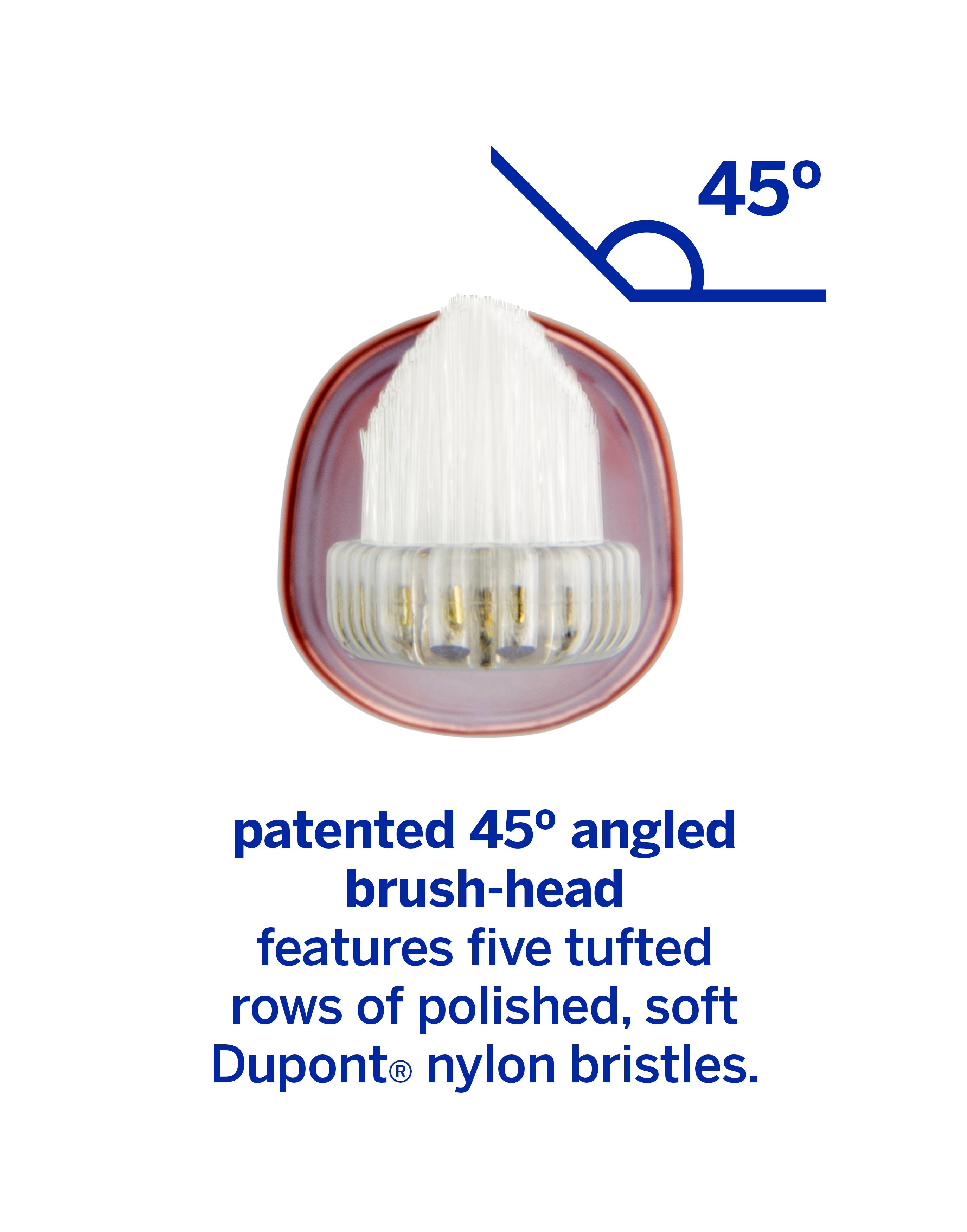 Supersmile Zina45 Replacement Brush Heads for Sonic Pulse Toothbrush, Rose Gold, 2 Count (Pack of 1)
