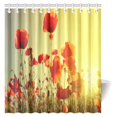 thumbnail image 1 of Cortina de Ducha ABPHQTO decoración de Amapolas 160x180 cm con ganchos, 1 of 3