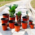 thumbnail image 3 of CAROOTU 50/100 Pcs Plastic Nursery Pot Double Color Plant Seedling Holder Raising Nutrition Block Pot, 3 of 6