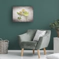 thumbnail image 4 of Felicity Bradley 'Vintage Hellebore Study IV' Canvas Art, 4 of 4