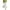 White, variant on hoksml Trousers for Women, Pants For Women Casual Summer Elastic High Waist Linen Pant Pockets Cropped Trouser on Clearance