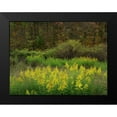 thumbnail image 2 of Fitzharris, Tim 24x19 Black Modern Framed Museum Art Print Titled - Goldenrods near DeQueen-Arkansas, 2 of 5