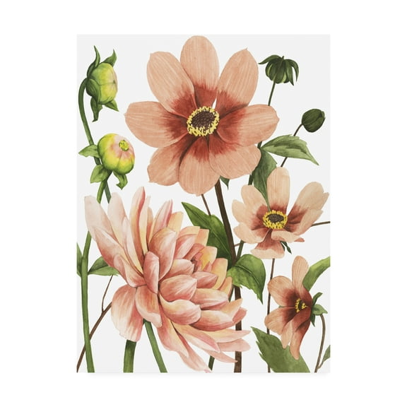 Trademark Fine Art 'Dahlia Spell II' Canvas Art by Grace Popp