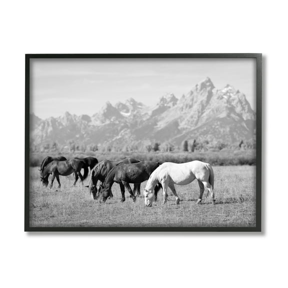Stupell Industries Horses Grazing by Mountains Animals & Insects Photography Black Framed Art Print Wall Art, 14 x 11
